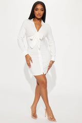 Keri button down dress